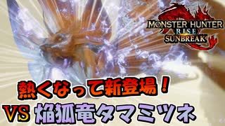 熱くなって新登場！ VS 焔狐竜タマミツネ希少種【MHRiseSunBreak/モンハンライズサンブレイク】
