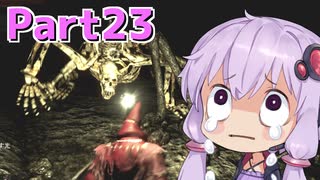【DARK SOULS REMASTERED】ゆかりさんの今さら始める不死人生活 part23【結月ゆかり実況プレイ】