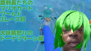 【第17回東方ニコ童祭】裁判長たちのマリオカートワールド　3レース目