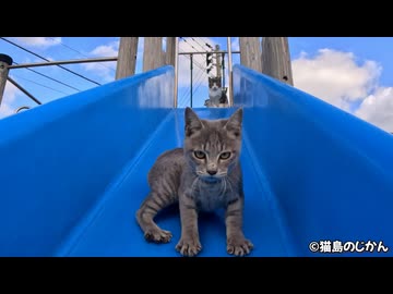 僕らも遊具で遊んじゃうよ！