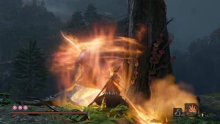 sc^イカれた生放送(SEKIRO)　２６－１