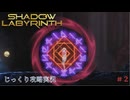 【SHADOW LABYRINTH】第2回　３０年前に堕ちたアレを見つけ出せ　じっくり攻略実況　シャドウラビリンス