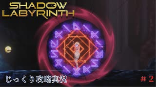 【SHADOW LABYRINTH】第2回　３０年前に堕ちたアレを見つけ出せ　じっくり攻略実況　シャドウラビリンス