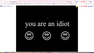 【音量注意】youareanidiot.ccにアクセスしてみた