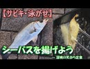 【サビキ・泳がせ】 シーバスを揚げよう ～ 深夜の天ぷら定食