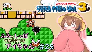 【ファミコン動画投稿祭3】みみとしっぽで駆け抜けるアイちゃん その25【マリオ3初見プレイ】