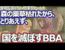 （NO.02）聖剣伝説２リメイク　シークレット オブ マナ　薬草生えないから国を亡ぼすBBA