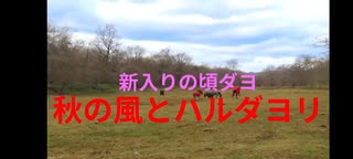 秋の風とハルダヨリ