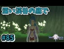 【Tales of Vesperia DE】世界を巡る...大切なものを見付ける為に_Part85【実況】