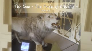 MIDI Art #1 “The Lion - The Pride of Ethiopia -”