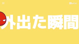 ポーランドボール 爆 意味わからん