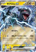 黒き英雄!ゼクロムシビビール!!