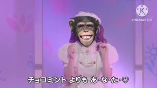 EX♡すとり〜む