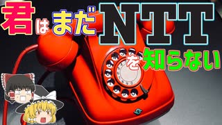 【ゆっくり解説】日本電信電話の仕事を知ってる人、絶対にいない！？【就活】【NTT】