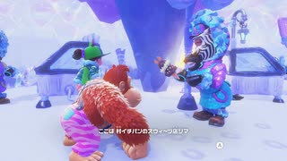 【プレイ動画】ドンキーコング バナンザ Part11