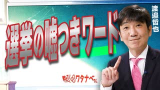 【教えて！ワタナベさん】選挙の嘘つきワード[R7/7/19］