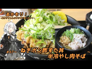 あかもり！#67～ねぎポン酢すた丼と半冷やし肉そば～【伝説のすた丼屋】