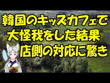 【韓国の反応】韓国のキッズカフェで大怪我をした結果、店側の対応が凄すぎると話題に【きょうの気になる詩。】
