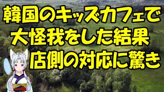 【韓国の反応】韓国のキッズカフェで大怪我をした結果、店側の対応が凄すぎると話題に【きょうの気になる詩。】