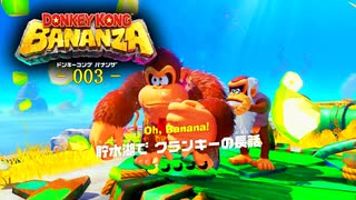 ドンキーコングバナンザをやる！-003-