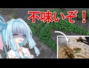 雑草食べてみた！