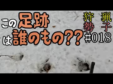 狩猟勢子動画＃018 この足跡は誰のもの？？