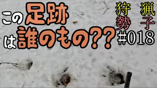 狩猟勢子動画＃018 この足跡は誰のもの？？
