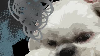 #001　噛み犬むぅ