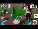 【実況】龍の国 ルーンファクトリーを初見で遊ぶいも【#45】※ネタバレあり