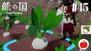 【実況】龍の国 ルーンファクトリーを初見で遊ぶいも【#45】※ネタバレあり