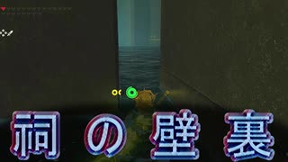 【ブレワイ】依頼を受けて、祠内部の下にある広場に行ってみた【ドリカラ】【ボイスピ実況,ゼルダの伝説,ブレスオブザワイルド,BotW,バグ,検証 】