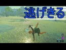 【ブレワイ】依頼を受けて、リザルフォスのダッシュから逃げ切ってみた【ドリカラ】【ボイスピ実況,ゼルダの伝説,ブレスオブザワイルド,BotW,バグ,検証 】