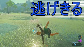 【ブレワイ】依頼を受けて、リザルフォスのダッシュから逃げ切ってみた【ドリカラ】【ボイスピ実況,ゼルダの伝説,ブレスオブザワイルド,BotW,バグ,検証 】