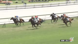 ザーフィル　2歳新馬