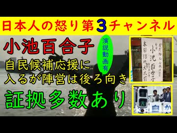 【小池百合子】兵庫自民の応援に入るも「なんで来るんだよ！」が本音・証拠写真も　#小池百合子 #兵庫 #自民党　#参院選