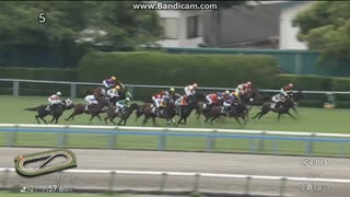 2025 ひまわり賞 (OP・九州産馬)　アンヘリータス