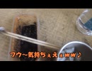 16 バナメイエビをスペシャルなブラックタイガーに変身させてみた
