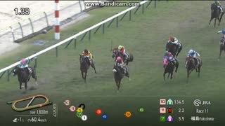 2025 阿武隈ステークス (3勝クラス)　 アンリーロード