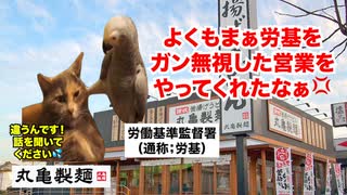【丸亀製麺】休日出勤でも給与ゼロ！？労働環境の闇が深すぎて労基署が動いた大手うどんチェーン店の実態 #猫マニ #猫ミーム