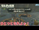 【ゼルダの伝説BotW】初めてのブレワイ！折れない心で未知の世界へ！#74【実況】