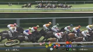 2025 テレQ杯 (3勝クラス)　エイムインライフ