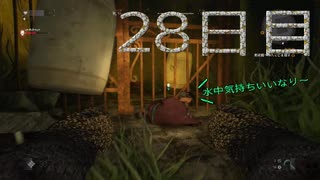 パワーの主とサバイバーの友人によるハラン旅行２８日目　[ダイイングライト]　難易度：悪夢＆スキル縛り