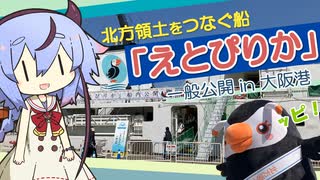 【ッピ！】「えとぴりか」一般公開（大阪港）に行った一般見学者ミコト