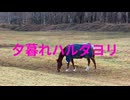 夕暮れハルダヨリ