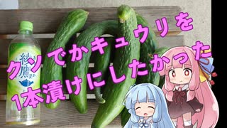 クソでかきゅうりを１本漬けにしたかった