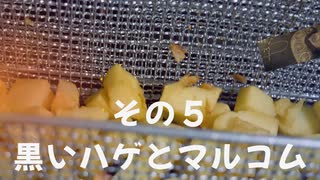【CeVIO AI】OИEちゃんがサックリと覚者になってみた　その5