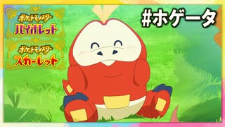 ポケモン図鑑の英語☆ホゲータ　　パルデア図鑑№4 【ずんだもん】【ポケポケ】【ポケットモンスター】【英語】【英単語】【英検】
