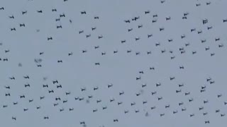 ホモと見る次々落ちてくる中国製ドローン