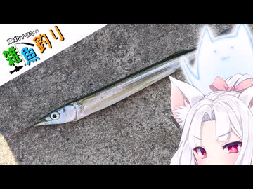 【VOICEROIDフィッシング】東北イタコの雑魚釣り４
