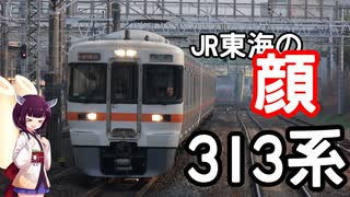 313系解説